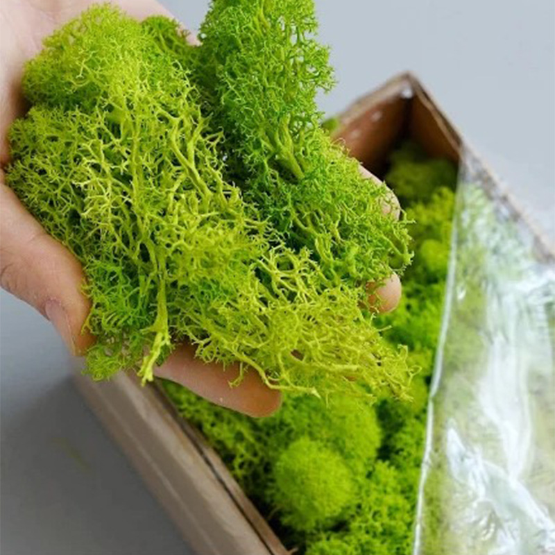 Artificial Green Plants Mini L - Sphagnum Moss Dry incelemesi ve fiyatı