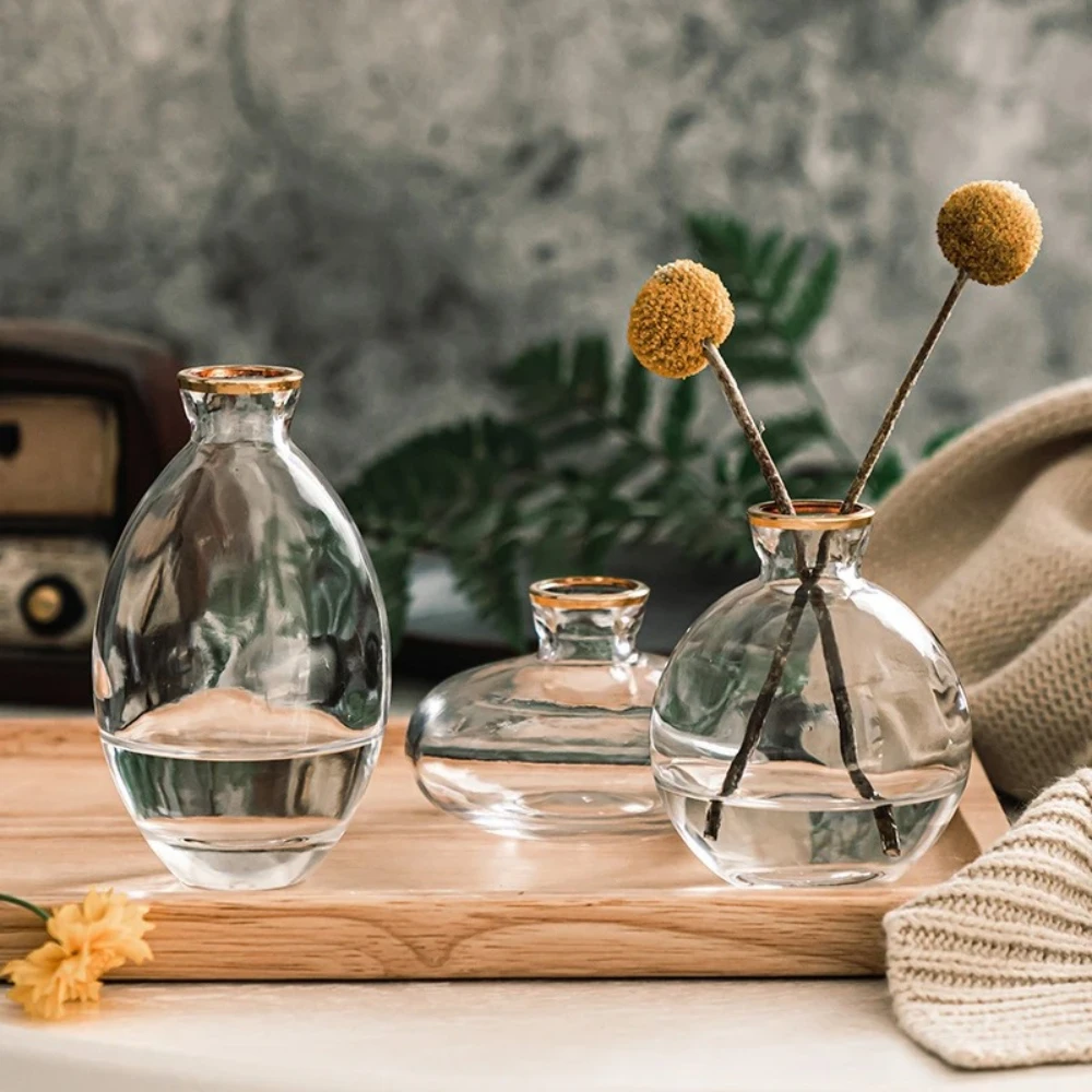 Nordic Transparent Glass Vase  - Propagation Station Vase incelemesi ve fiyatı