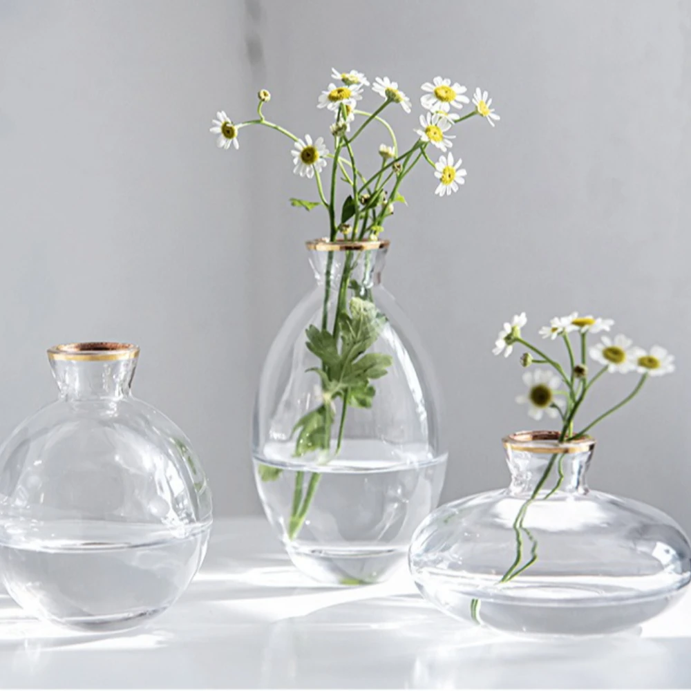 Nordic Transparent Glass Vase  - Propagation Station Vase incelemesi ve fiyatı