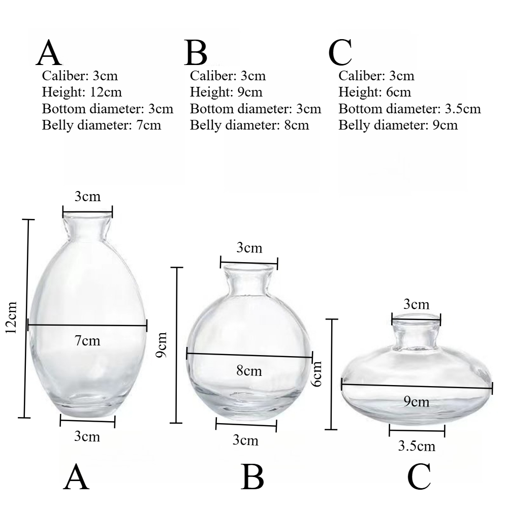 Nordic Transparent Glass Vase  - Propagation Station Vase incelemesi ve fiyatı