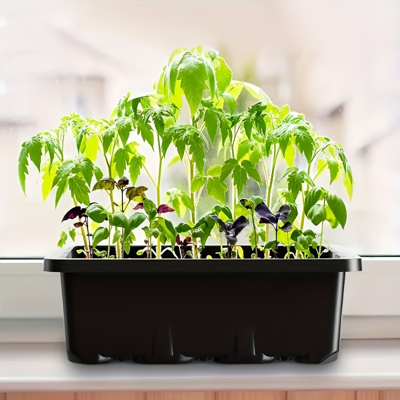 Seedling Starter Kit 1/2/3 Set - Humidity Dome Kit incelemesi ve fiyatı