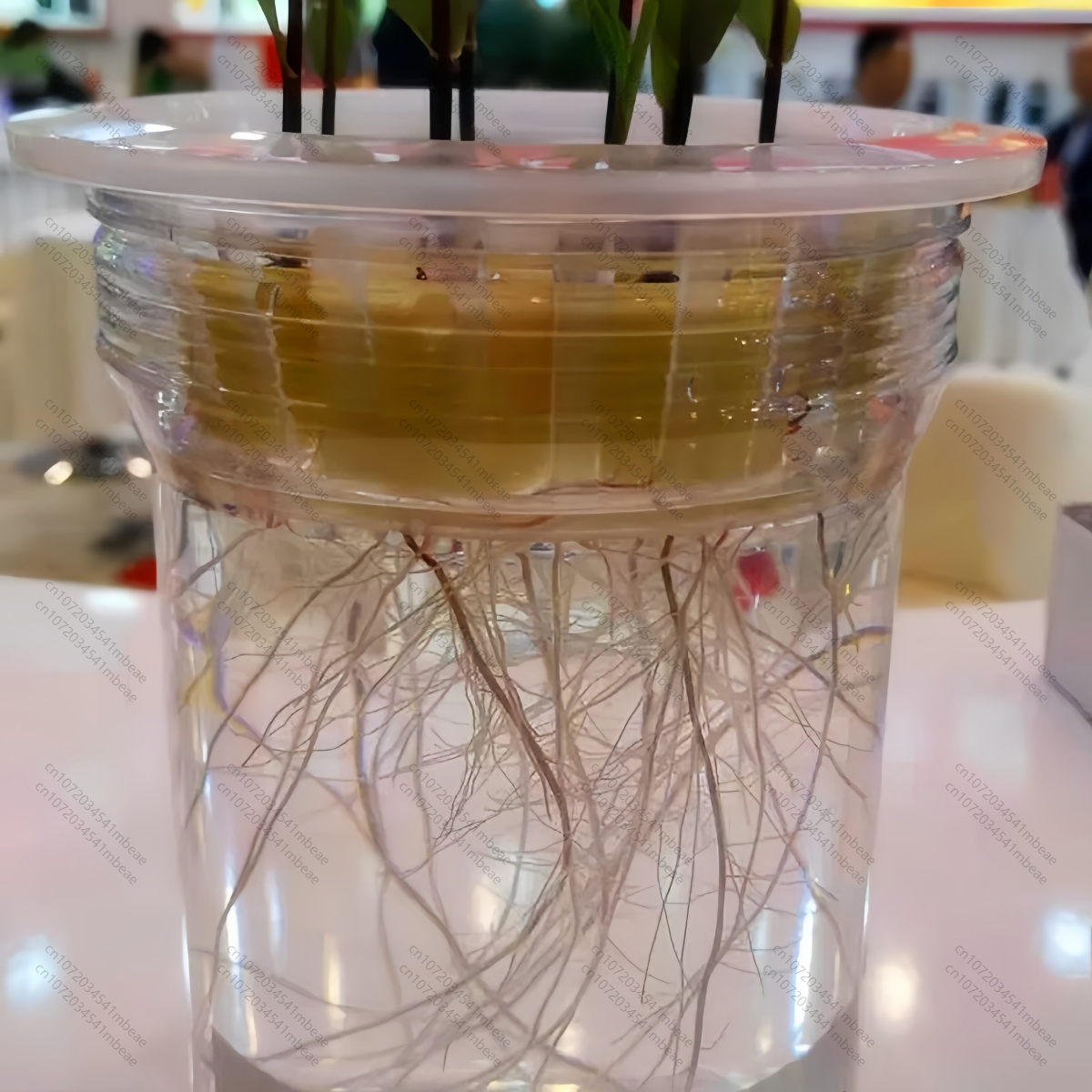 NAA 98% TC 1-Naphthaleneacetic - Rooting Hormone Powder incelemesi ve fiyatı