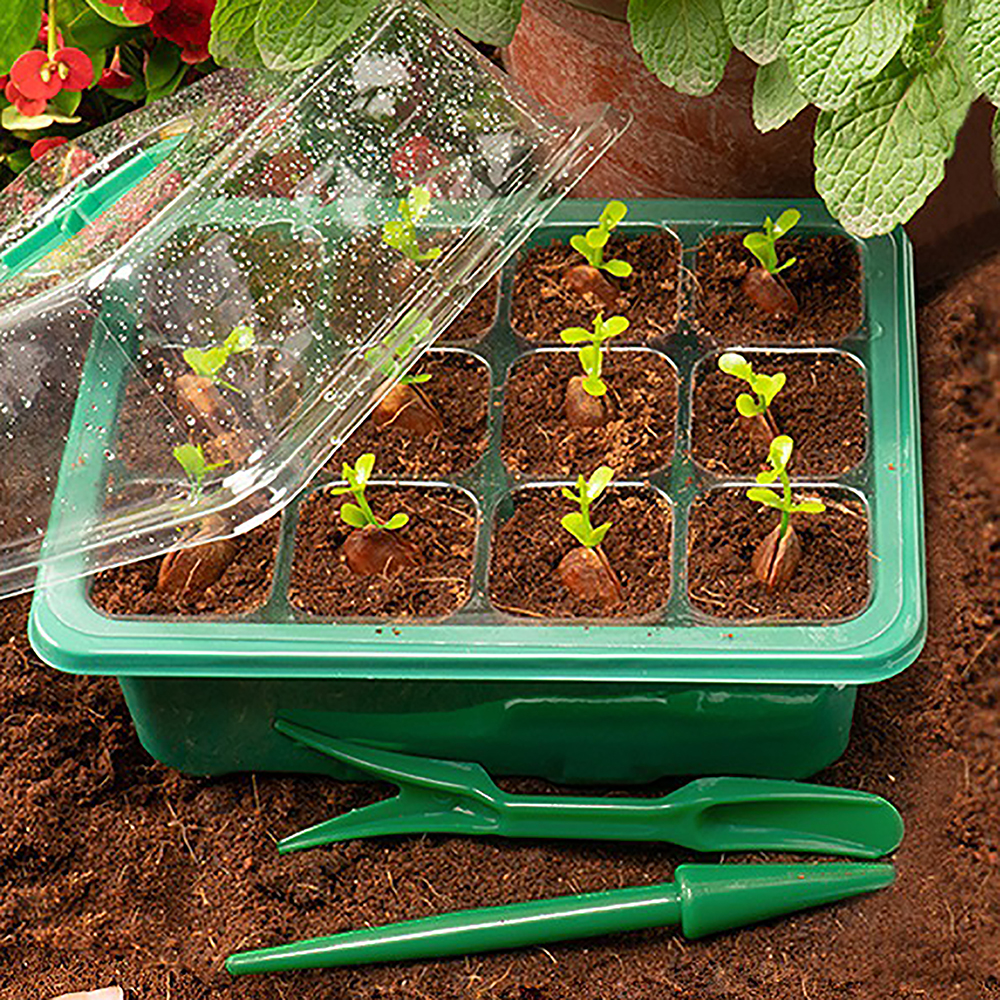 Seed Starter Trays with Grow L - Humidity Dome Kit incelemesi ve fiyatı