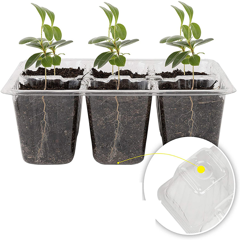 Seed Starter Trays with Grow L - Humidity Dome Kit incelemesi ve fiyatı