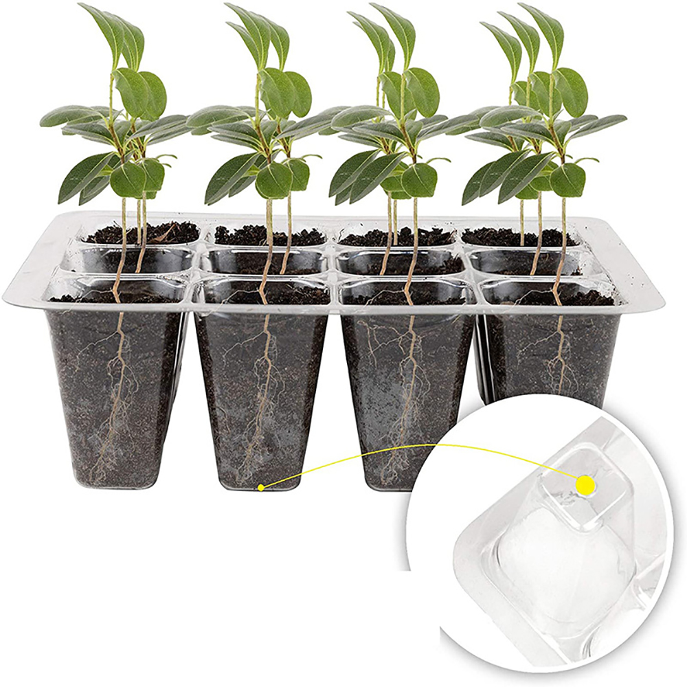Seed Starter Trays with Grow L - Humidity Dome Kit incelemesi ve fiyatı