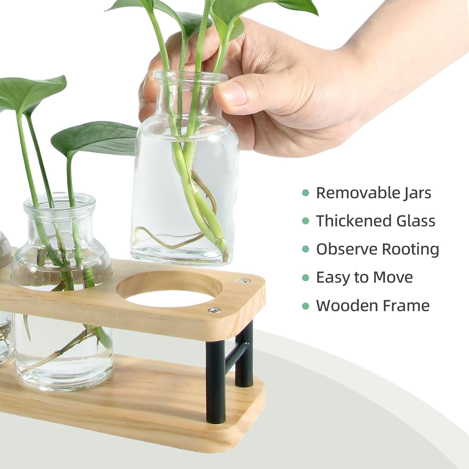 Propagation Station with Woode - Propagation Station Vase incelemesi ve fiyatı