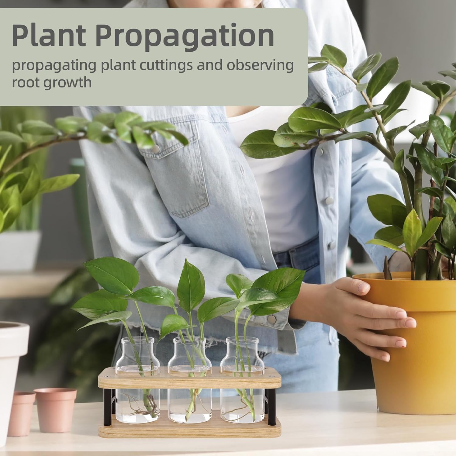 Propagation Station with Woode - Propagation Station Vase incelemesi ve fiyatı