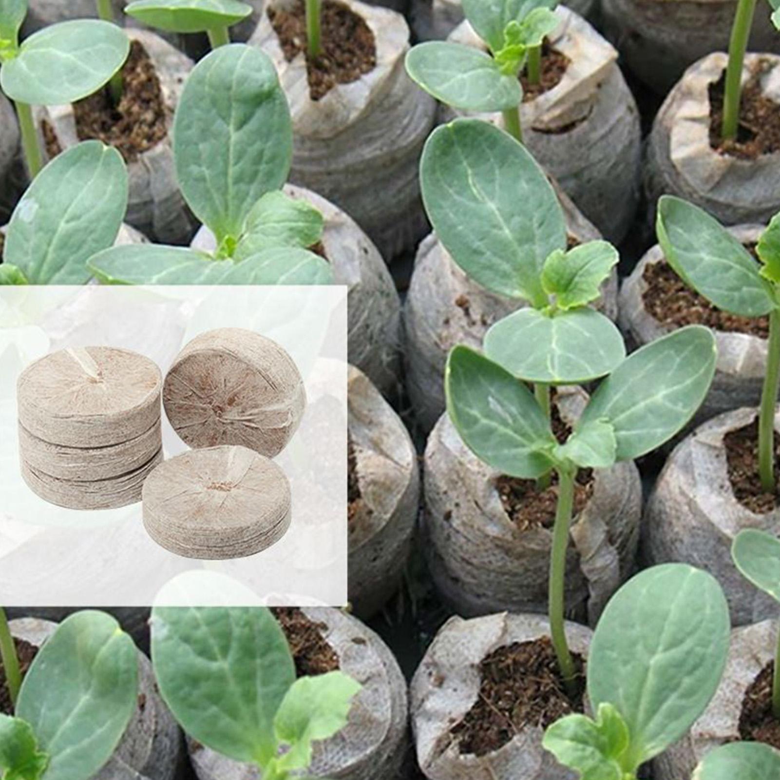 100 Piece Potting Mix Trays 30 - Peat Pellet Tray incelemesi ve fiyatı