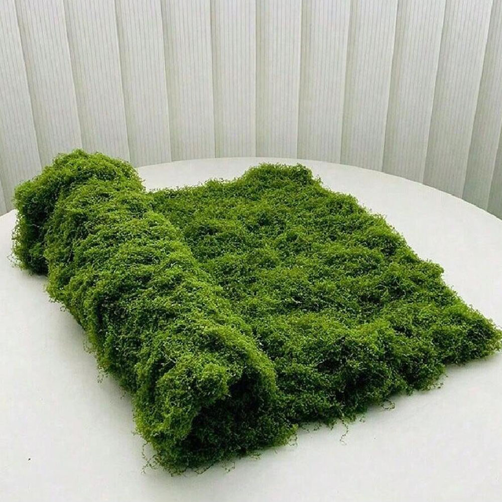 1*1m Fake Moss DIY Crafts Gras - Sphagnum Moss Dry incelemesi ve fiyatı