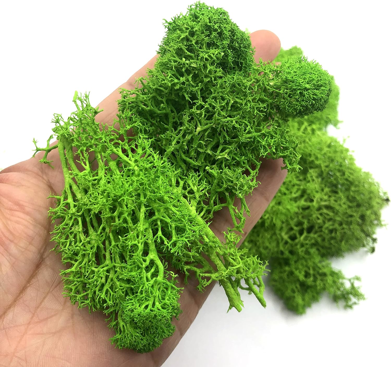 200g Artificial Green Plants M - Sphagnum Moss Dry incelemesi ve fiyatı