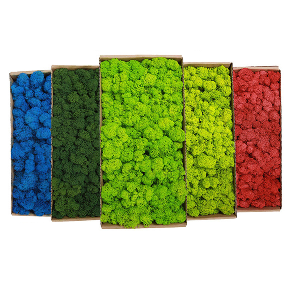 200g Artificial Green Plants M - Sphagnum Moss Dry incelemesi ve fiyatı