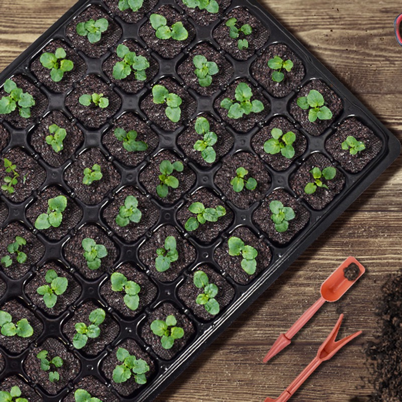 ABGH-10 Pack Seed Starter Tray - Propagation Tray 72 incelemesi ve fiyatı