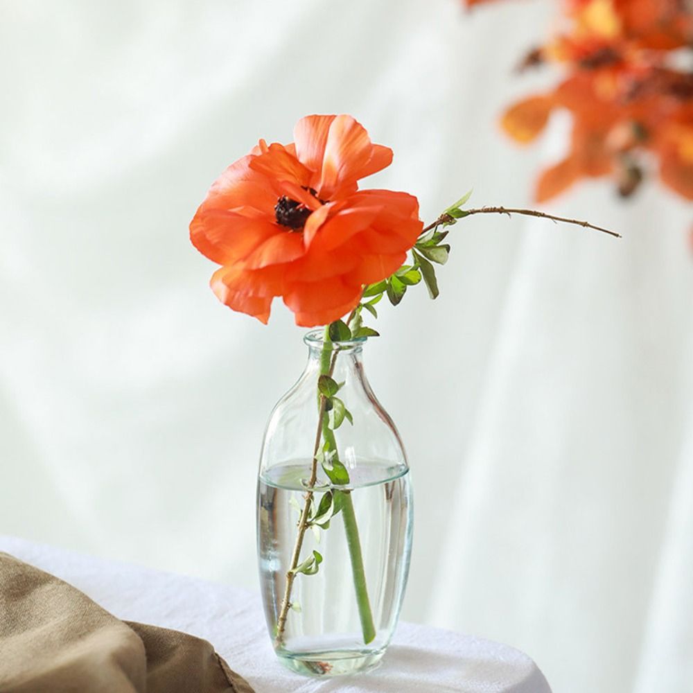 Fashion Retro Flower Vase Glas - Propagation Station Vase incelemesi ve fiyatı