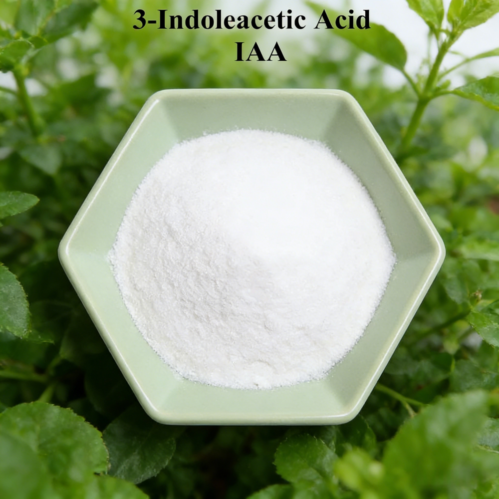3-indoleacetic Acid IAA Auxina - Rooting Hormone Powder incelemesi ve fiyatı