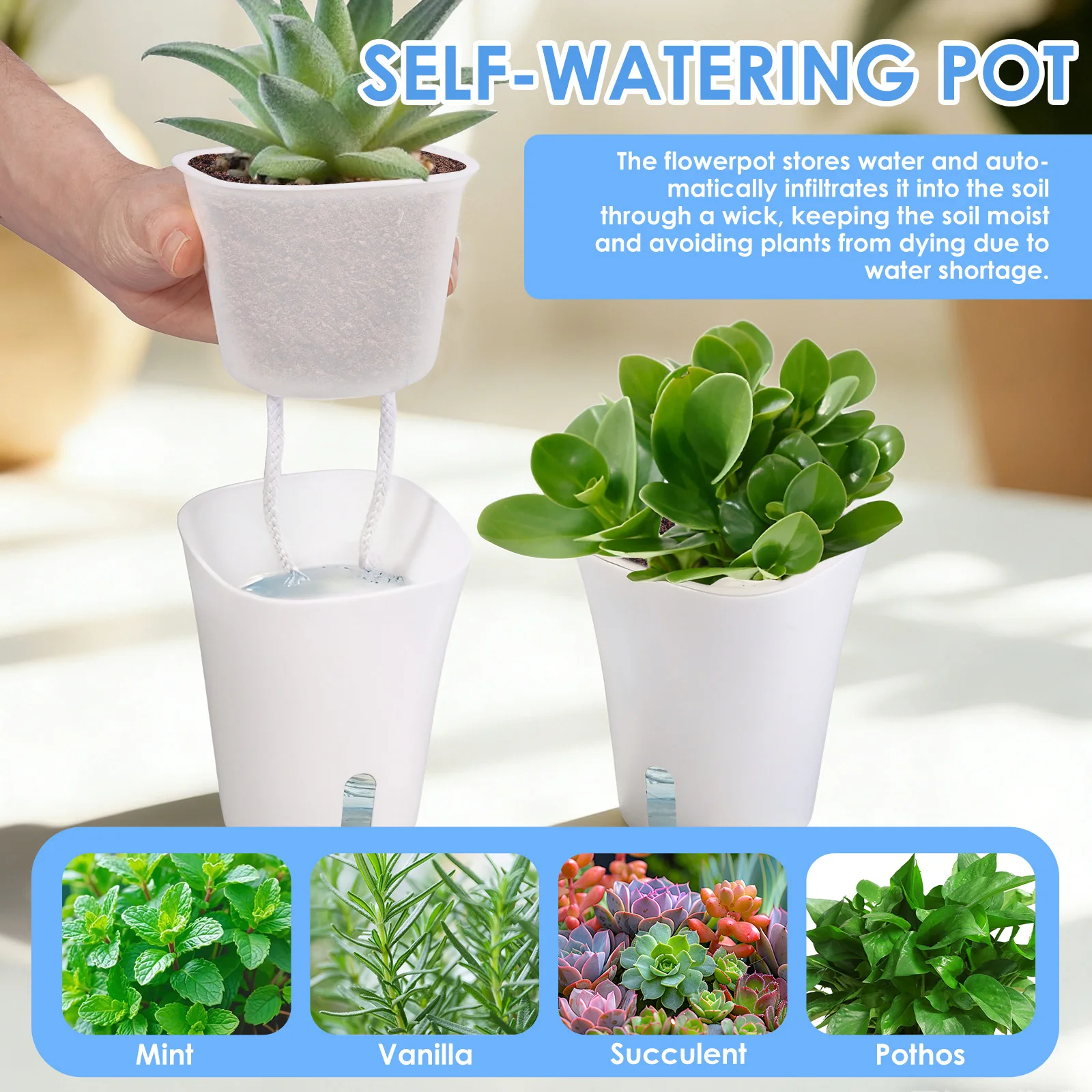 10 Pcs Self Watering Planter L - Self Watering Insert incelemesi ve fiyatı