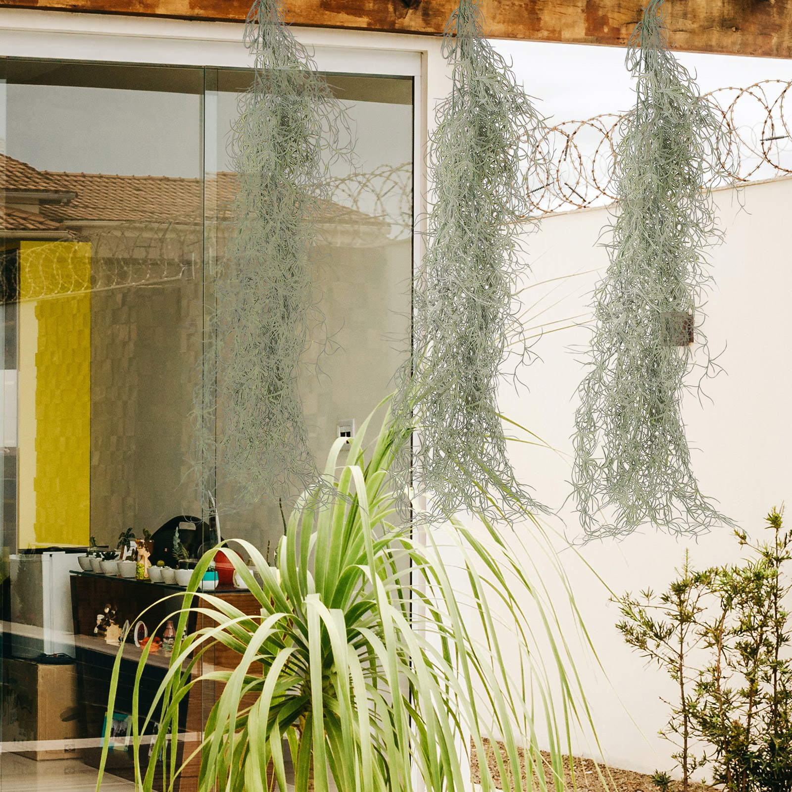 Hanging Moss Decor Artificial  - Sphagnum Moss Dry incelemesi ve fiyatı
