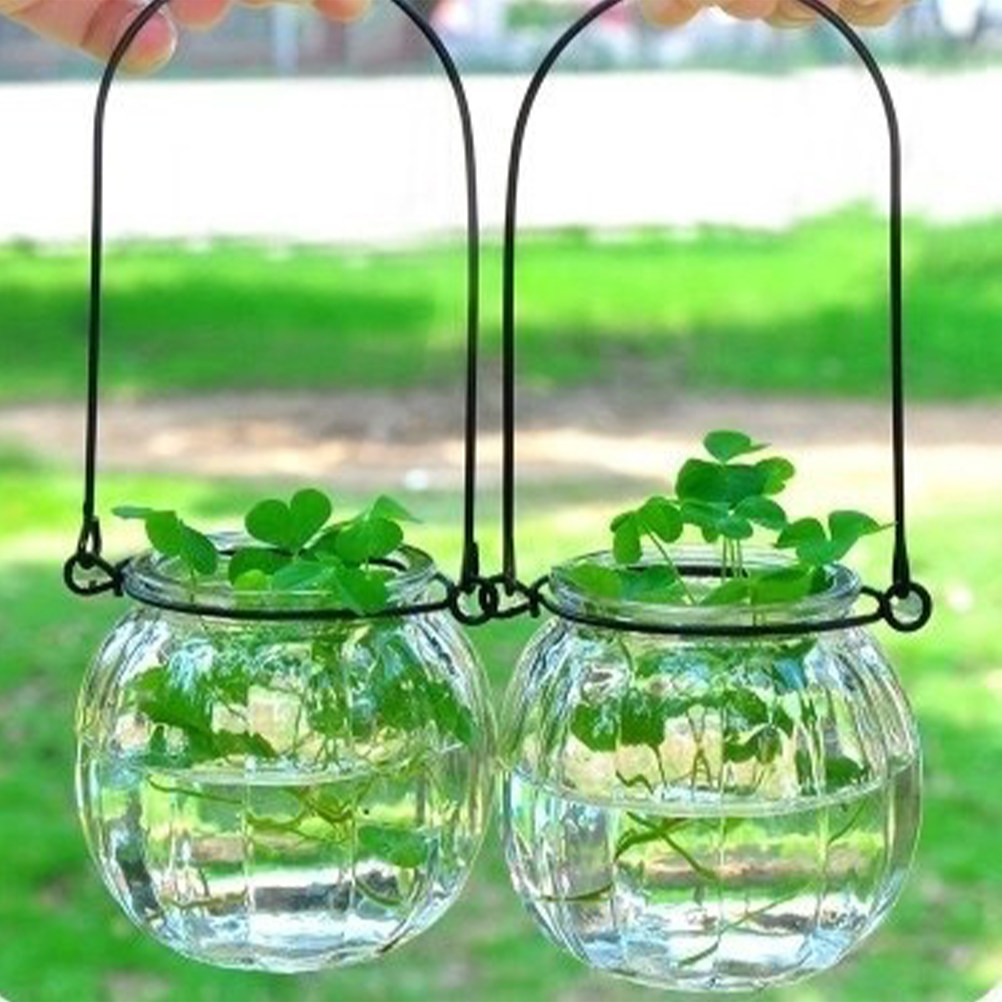6Pcs Clear Glass Wall Planters - Propagation Station Vase incelemesi ve fiyatı