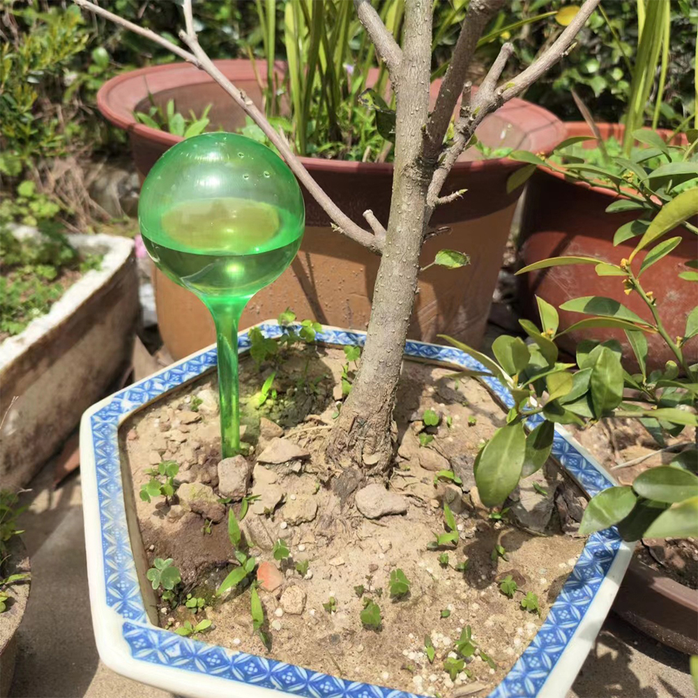 Automatic Plant Watering Bulbs - Self Watering Insert incelemesi ve fiyatı
