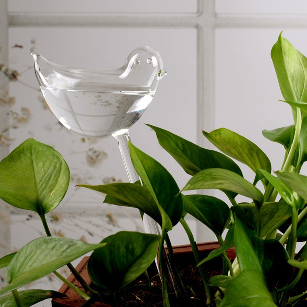 Automatic Plant Watering Bulbs - Self Watering Insert incelemesi ve fiyatı