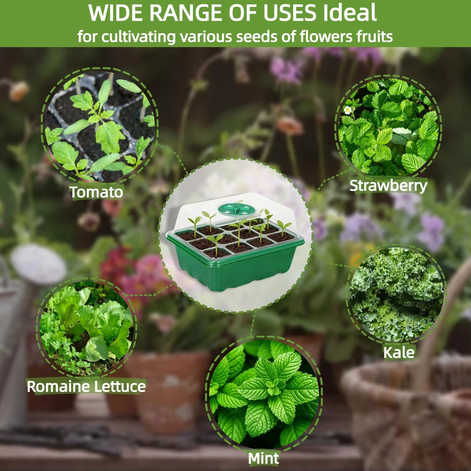 3Pcs Seed Starter Tray Mini Gr - Humidity Dome Kit incelemesi ve fiyatı