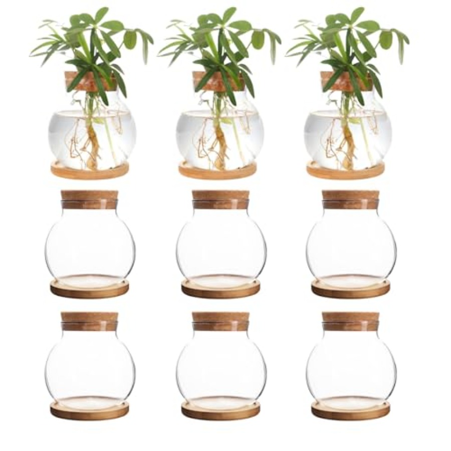 Plant Propagation Station, Hyd - Propagation Station Vase incelemesi ve fiyatı