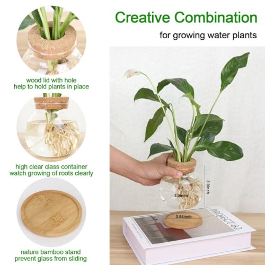 Plant Propagation Station, Hyd - Propagation Station Vase incelemesi ve fiyatı