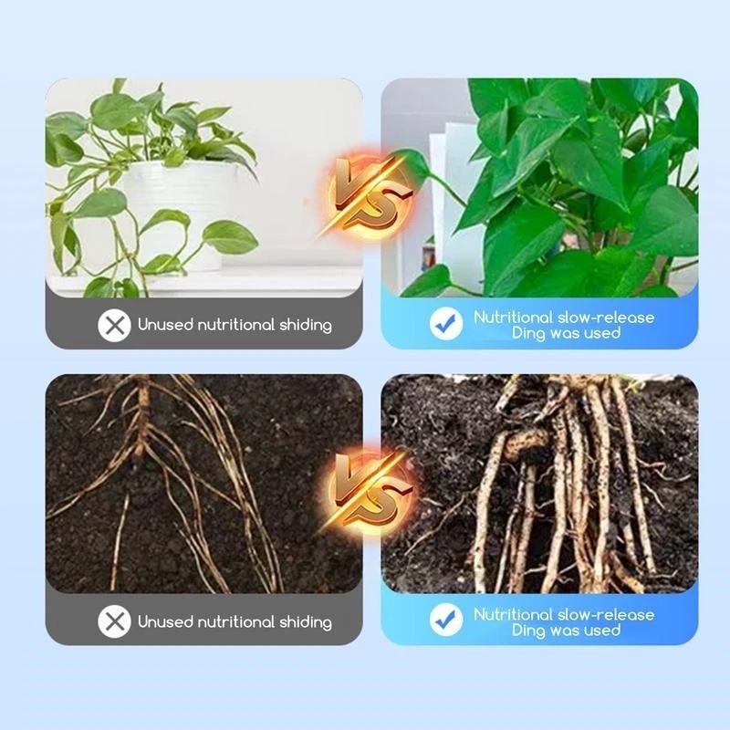 500g High-strength Rooting Hor - Rooting Hormone Powder incelemesi ve fiyatı