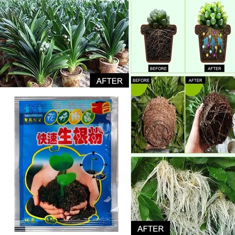 5pcs Fast Rooting Powder Plant - Rooting Hormone Powder incelemesi ve fiyatı