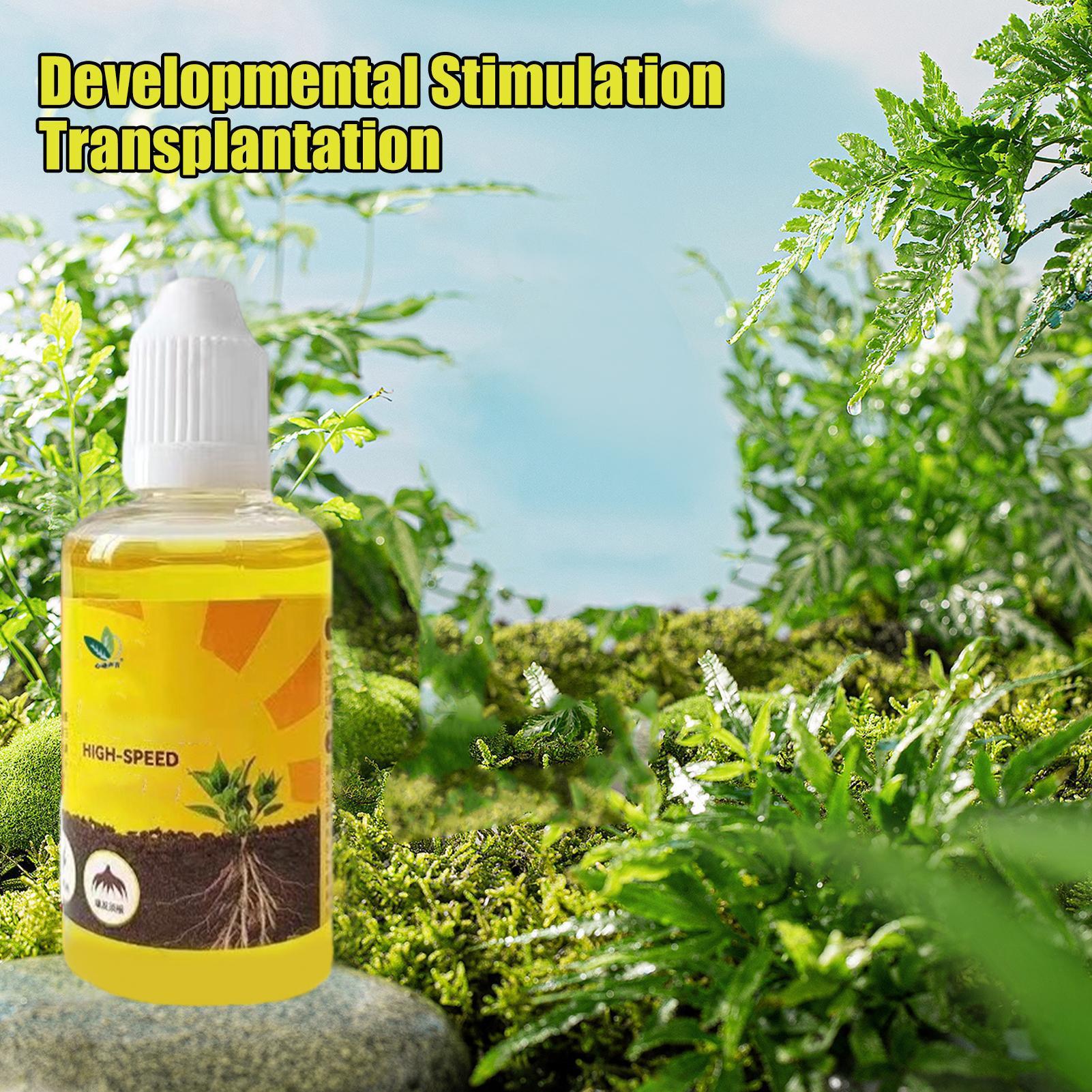 Fast Potting Rooting Plant Nut - Root Stimulator Liquid incelemesi ve fiyatı
