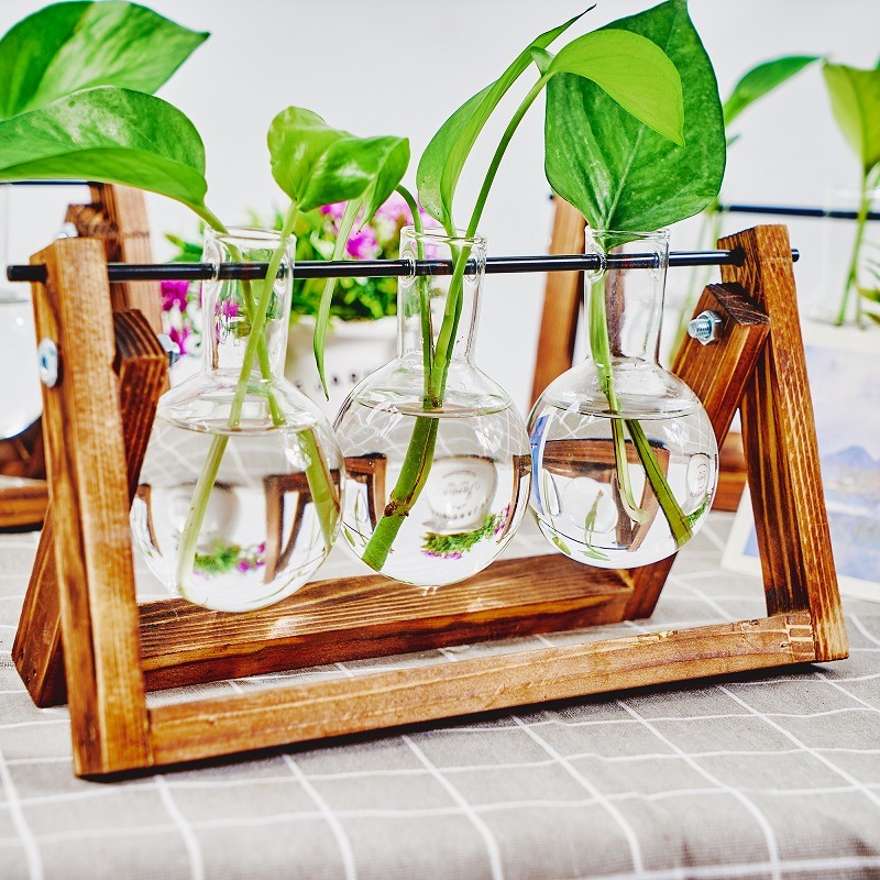 Tabletop Glass Planter Propaga - Propagation Station Vase incelemesi ve fiyatı