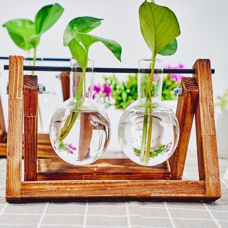Tabletop Glass Planter Propaga - Propagation Station Vase incelemesi ve fiyatı