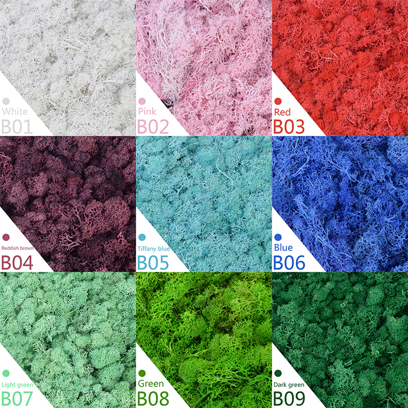 40/20g Artificial Moss Grass G - Sphagnum Moss Dry incelemesi ve fiyatı