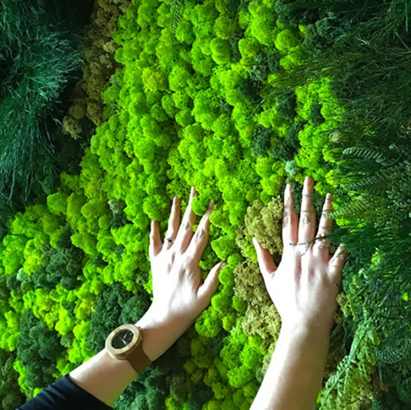 40/20g Artificial Moss Grass G - Sphagnum Moss Dry incelemesi ve fiyatı