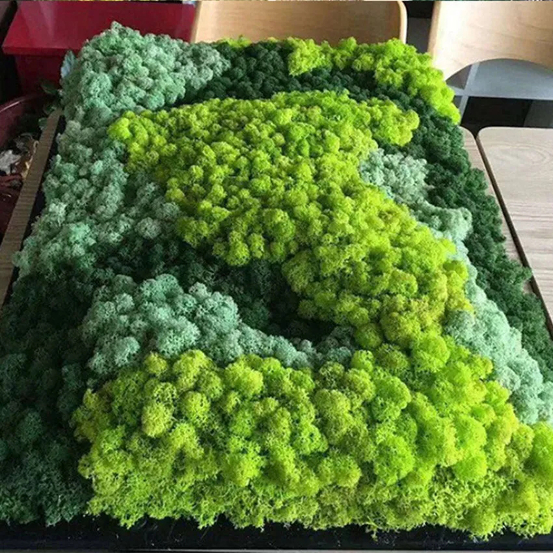 40/20g Artificial Moss Grass G - Sphagnum Moss Dry incelemesi ve fiyatı