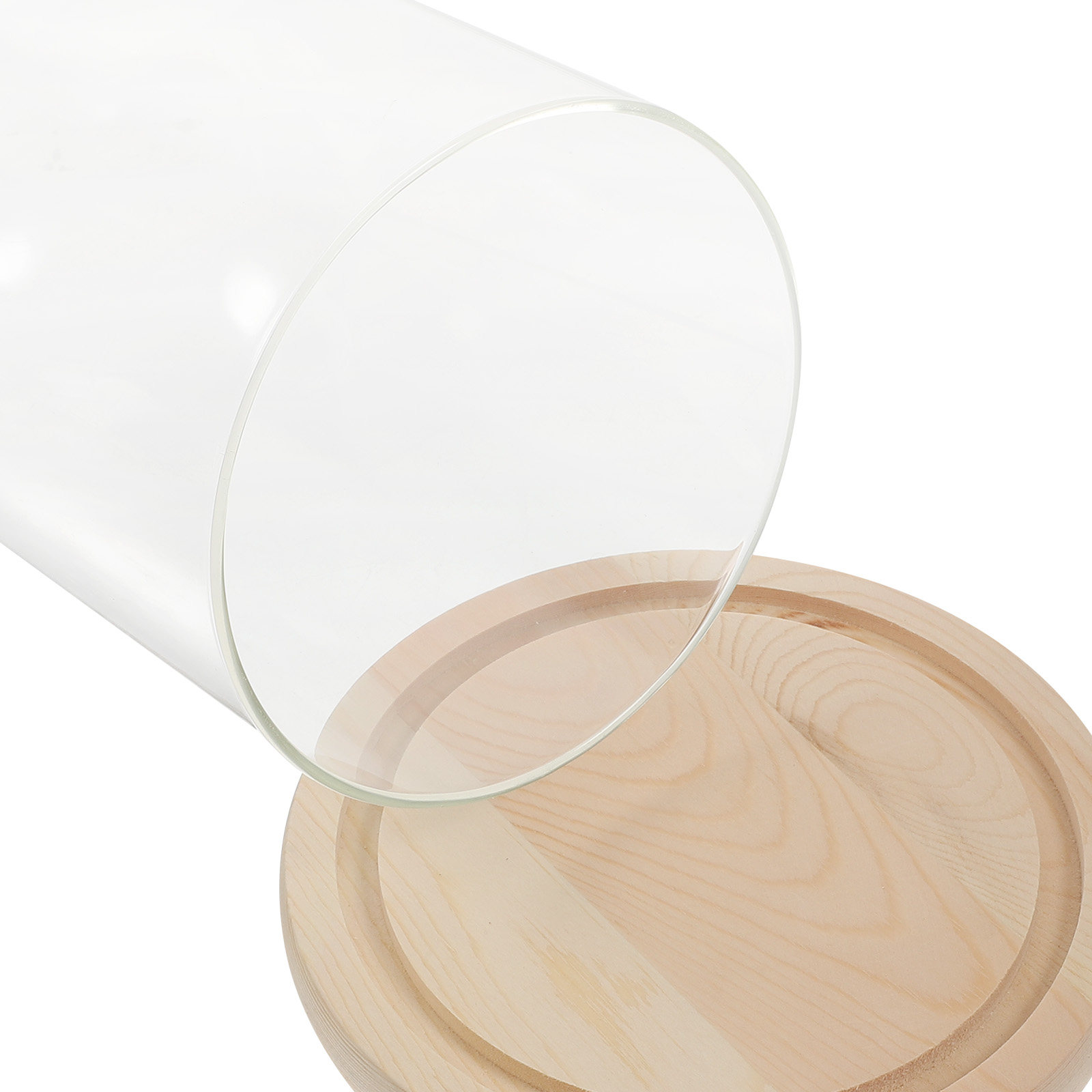 Glass Dome Display Case with B - Plastic Dome Clear incelemesi ve fiyatı