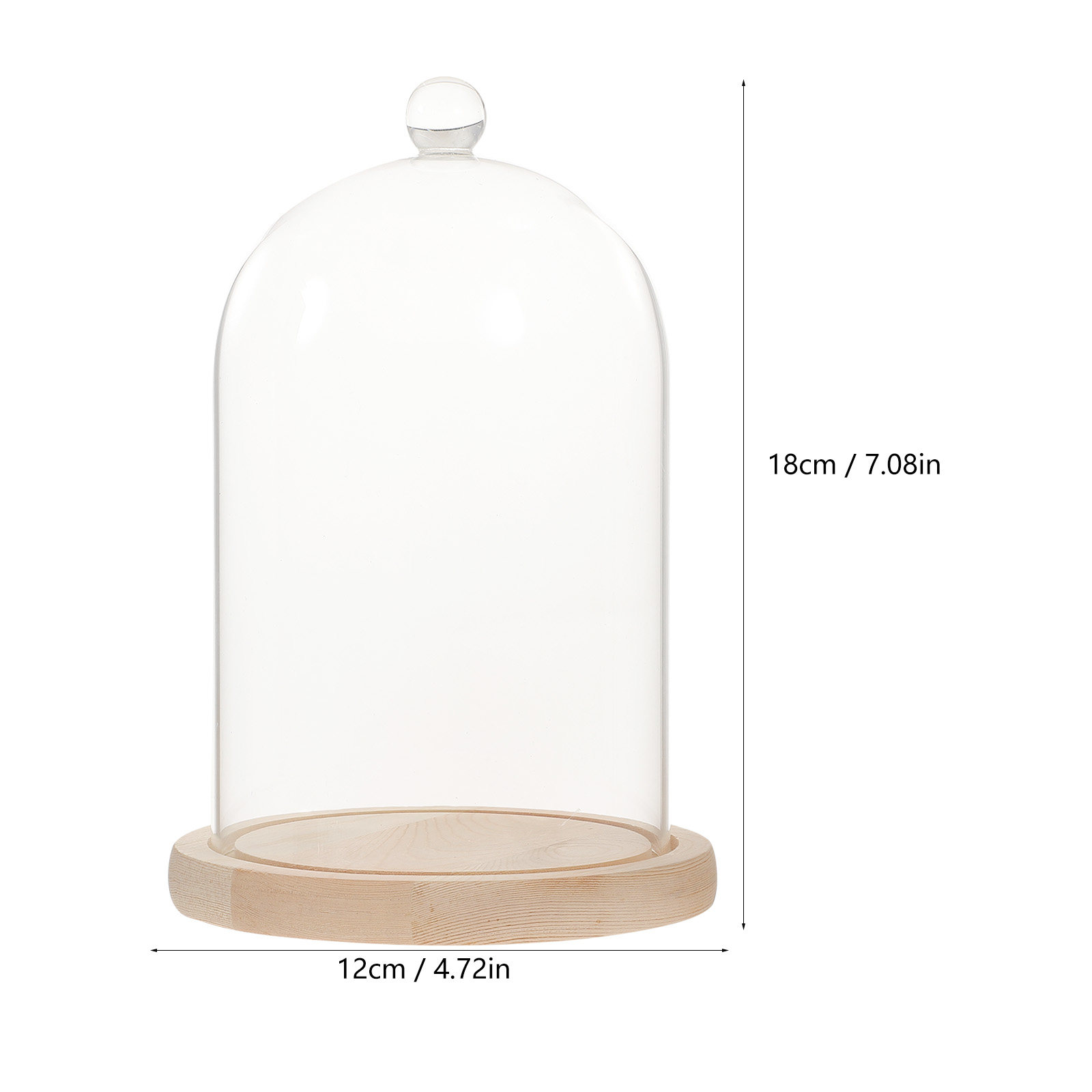 Glass Dome Display Case with B - Plastic Dome Clear incelemesi ve fiyatı